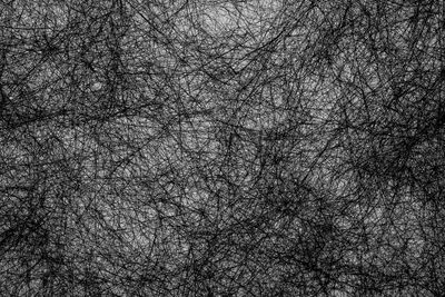 Full frame shot of bare tree