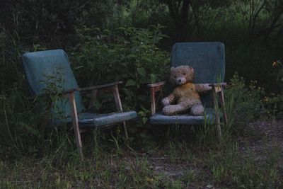 Teddy bear on old armchair by plants