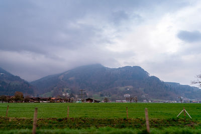 Scenic view of agricultural field against sky