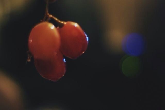 close-up, indoors, focus on foreground, hanging, selective focus, still life, no people, red, illuminated, night, sphere, shiny, black background, studio shot, copy space, single object, lighting equipment, dark, table, freshness