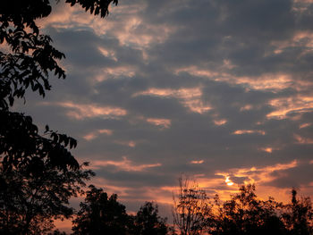 Low angle view of silhouette trees against orange sky