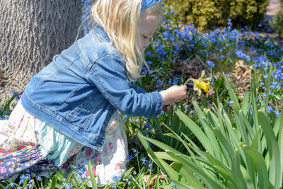 Girl looking at daffodil in park