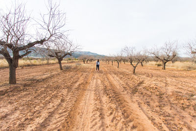 Rear view of man walking on dirt road