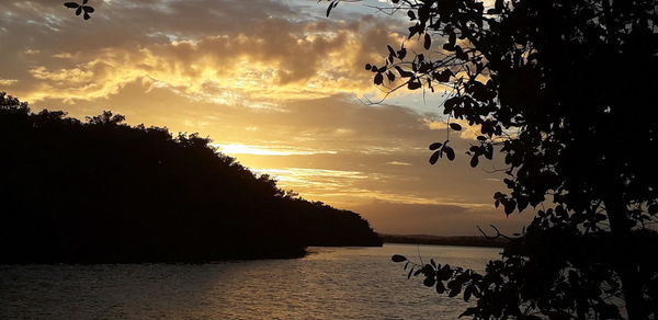 Silhouette trees by sea against sky during sunset