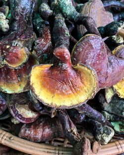 Close-up of vegetables in market