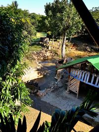 High angle view of trees