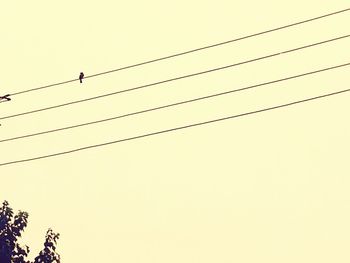 Low angle view of birds perching on cable