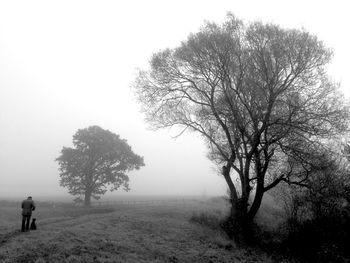 Trees on field against sky during foggy weather