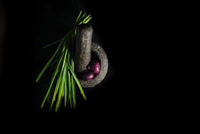 Close-up of bread over black background