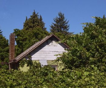 Low angle view of trees and building against sky