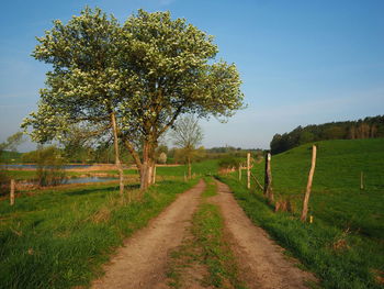 Dirt road amidst agricultural field against sky