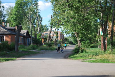 Rear view of man walking on road along trees