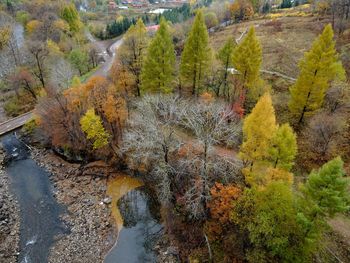 Scenic view of river in forest during autumn