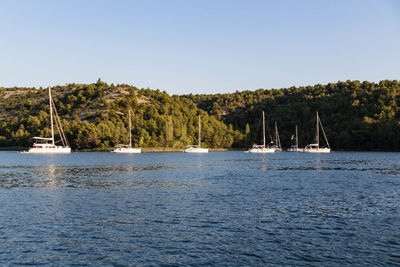 Sailboats in sea against clear sky