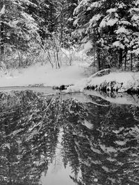 Scenic view of snow covered land