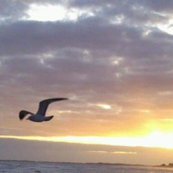 Scenic view of sea against cloudy sky at sunset