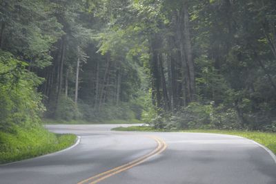 Empty road passing through forest