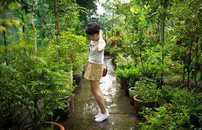 Rear view of woman standing in forest