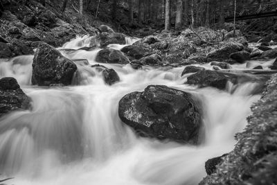 Scenic view of waterfall in forest