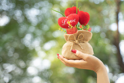 Close-up of hand holding red berries