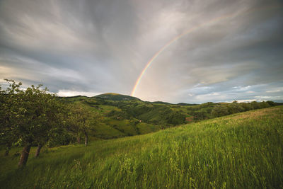 Scenic view of field against rainbow in sky