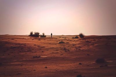 Scenic view of landscape against clear sky