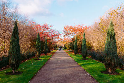 Footpath amidst trees in park during autumn