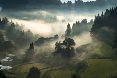 Panoramic shot of trees on mountain against sky