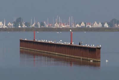 Scenic view of river against sky in city