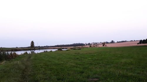 Scenic view of field against clear sky