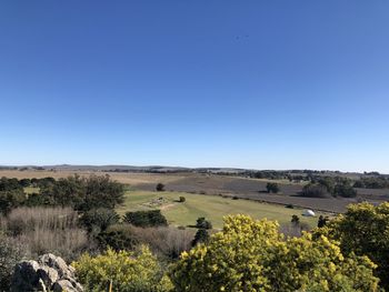 Scenic view of field against clear blue sky