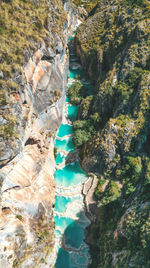 High angle view of river amidst trees