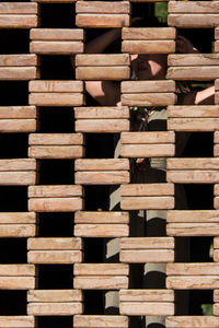 Full frame shot of logs in forest