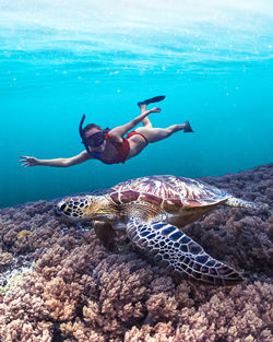 Girl freediving in the ocean with a wild sea turtle and coral reef