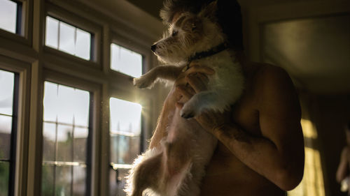 Man holding dog by window at home