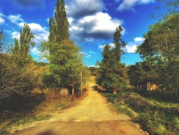 Trees growing on road against sky