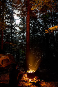 Low angle view of bonfire against trees in forest