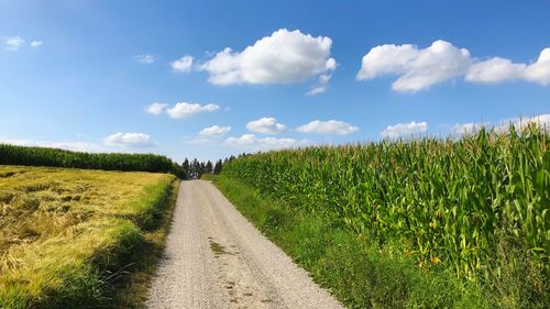 Road amidst field against sky