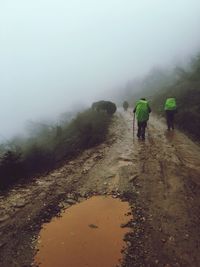 Rear view of man walking on mountain during foggy weather
