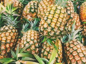 Close-up of fruits for sale in market