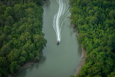 High angle view of river amidst trees in forest