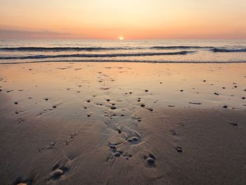 Scenic view of beach during sunset