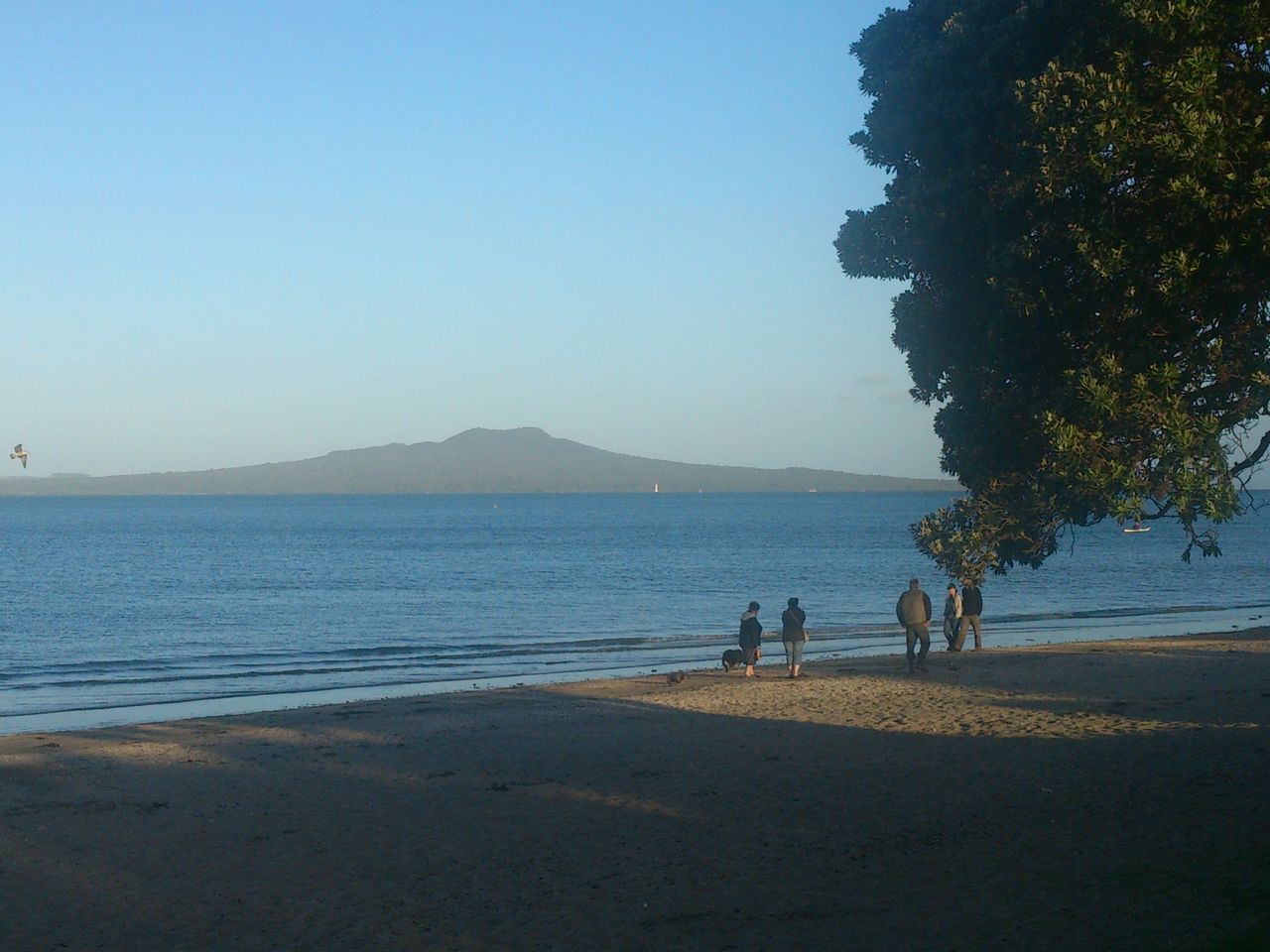 water, sea, tranquil scene, tranquility, clear sky, beach, scenics, beauty in nature, blue, copy space, shore, nature, mountain, sand, tree, idyllic, sky, horizon over water, coastline, sunlight