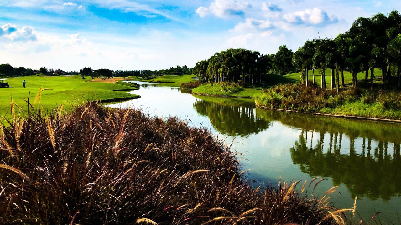 plant, reflection, water, tranquility, tree, sky, tranquil scene, lake, beauty in nature, scenics - nature, grass, growth, nature, cloud - sky, no people, green color, day, landscape, non-urban scene