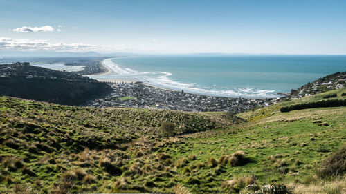 Beautiful coastal scenery summer vista, godley head park in christchurch, new zealand