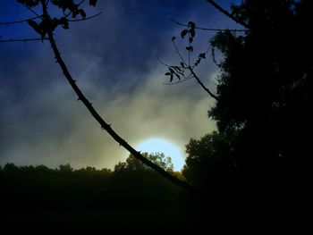 Silhouette of trees against sky at sunset