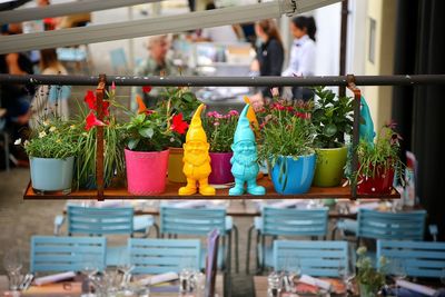 Potted plants at market stall