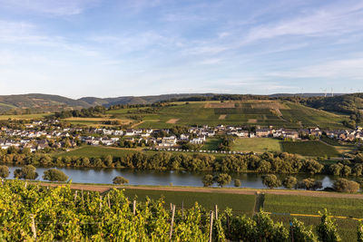 Panoramic view of the moselle valley with the wine village brauneberg in the background