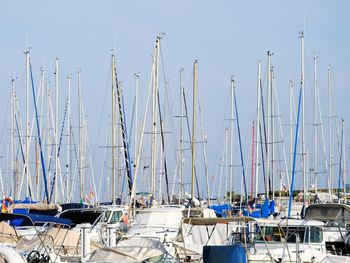 Sailboats moored in harbor against clear sky