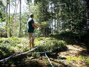 Full length of woman standing in forest